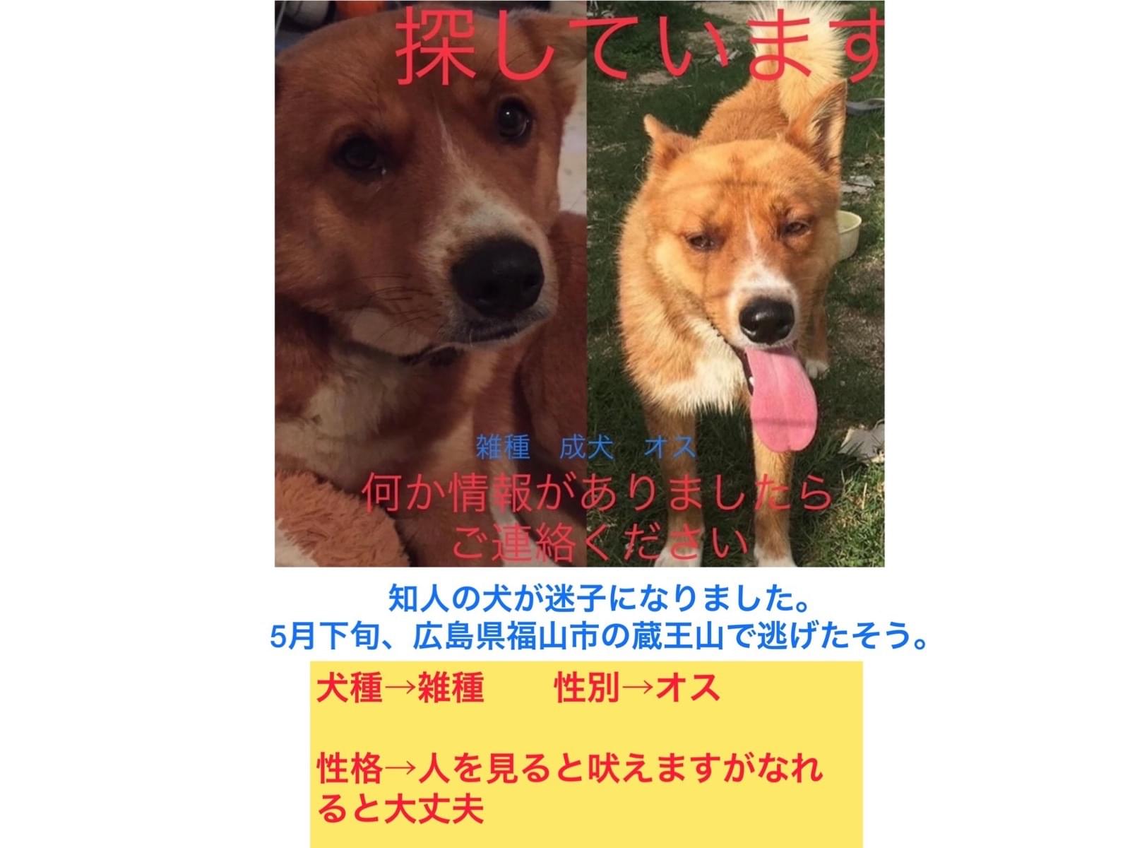 クーちゃん クーちゃん
