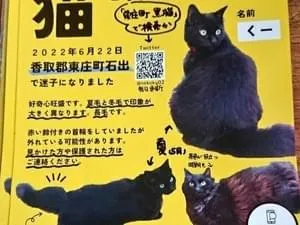 BUCK-TICK 4枚セット　黒猫のしっぽ Amazon | ネコ型ピック ギターピック (ネコ3p) カワイイ 1mm 3枚