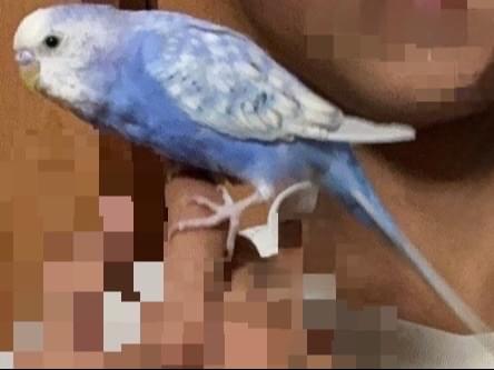 くーちゃん くーちゃん