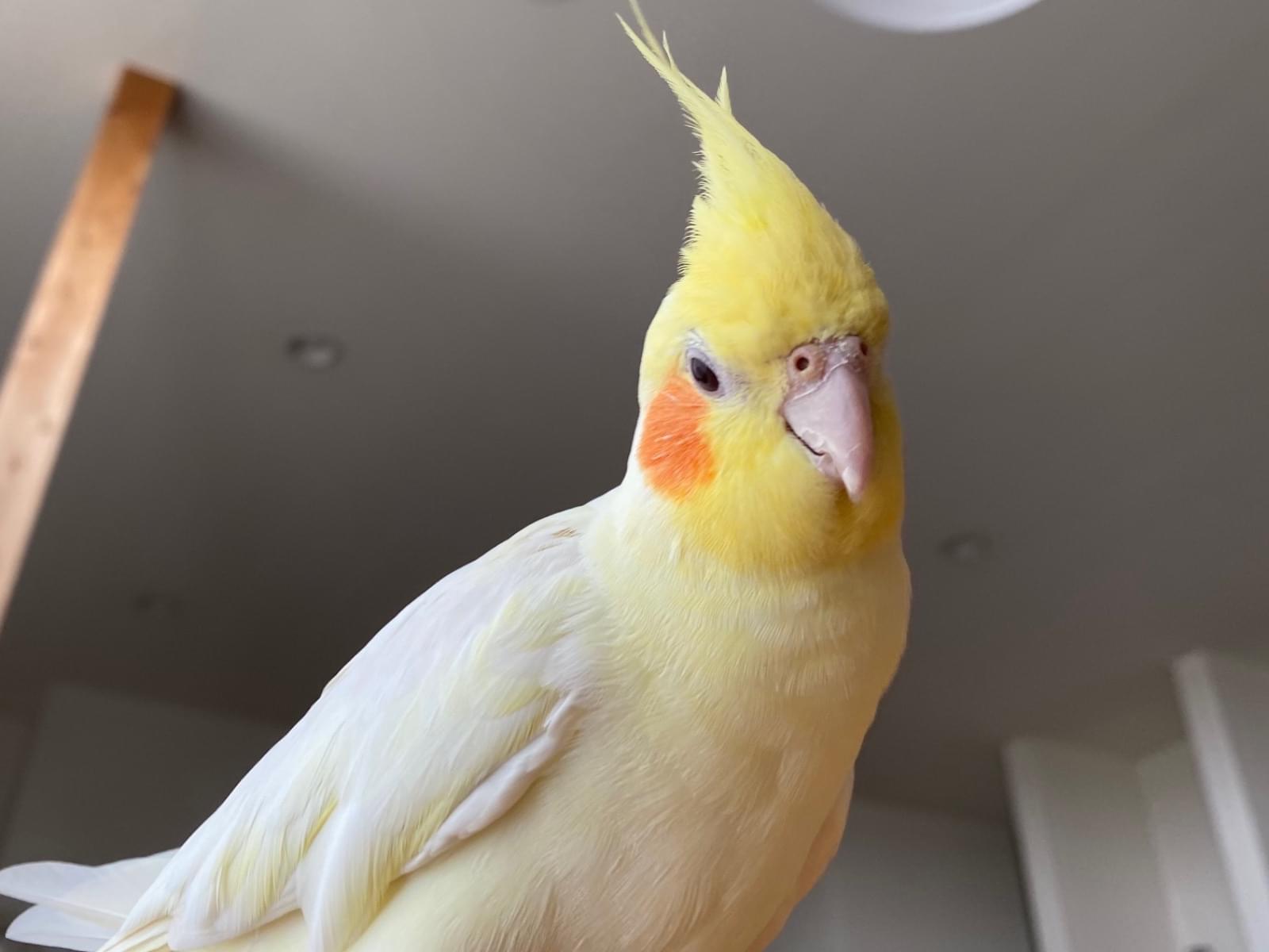 まどちゃん まどちゃん