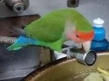 なっちゃん なっちゃん