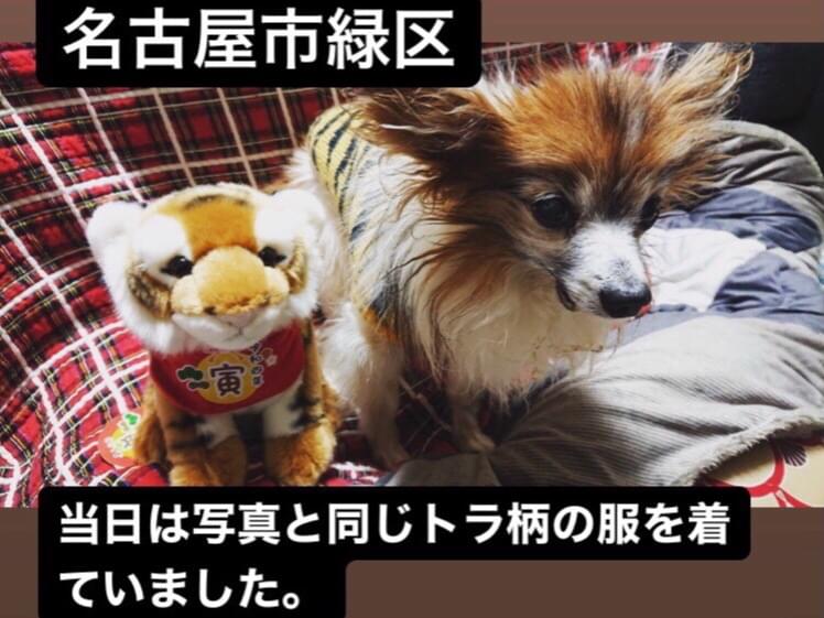 パピちゃん パピちゃん