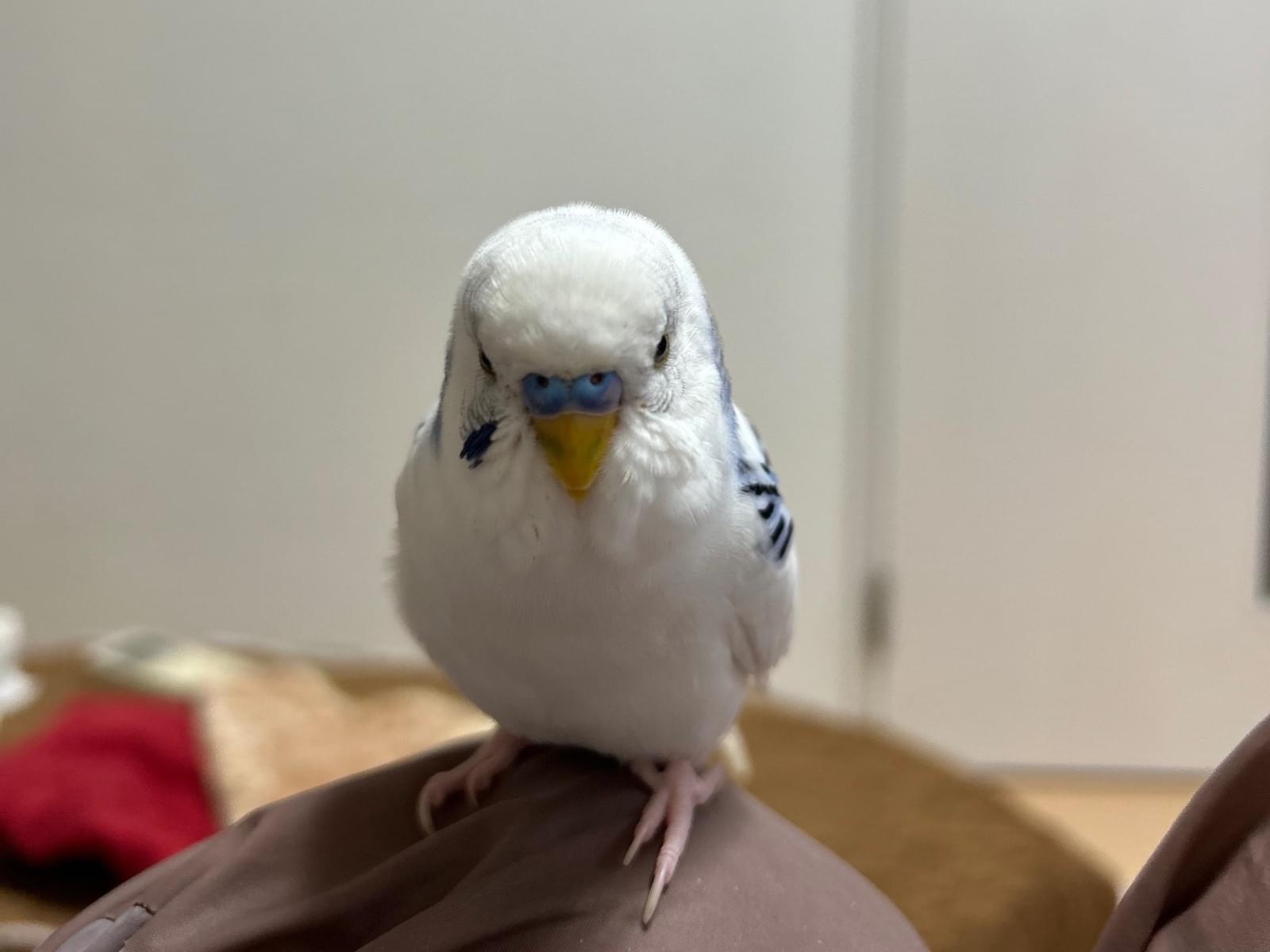しるちゃん しるちゃん
