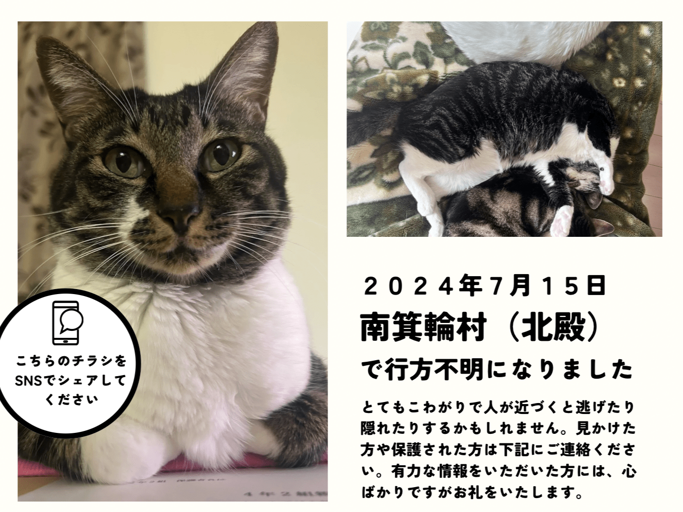 まぬちゃん まぬちゃん