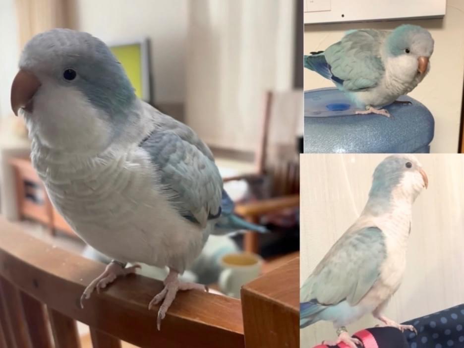おきちゃん おきちゃん