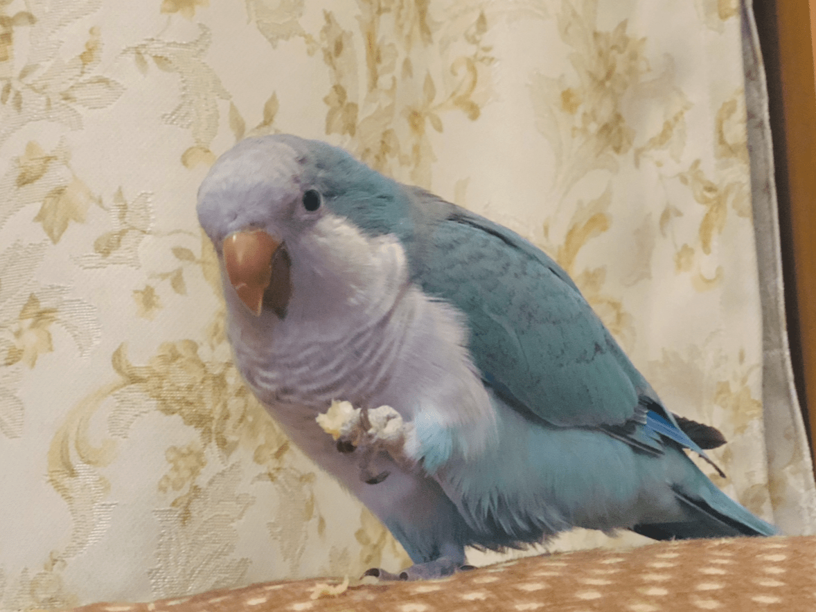 まるくんちゃん まるくんちゃん