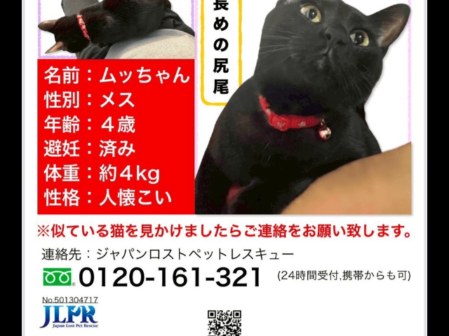 ムッちゃん ムッちゃん
