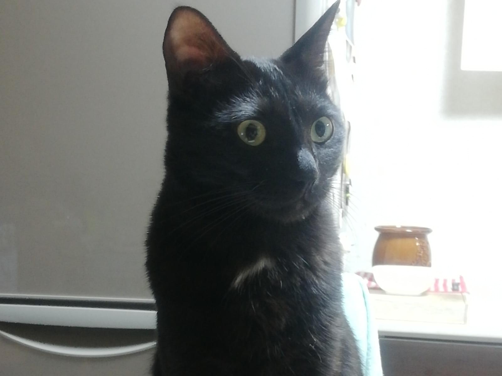 めばるちゃん めばるちゃん