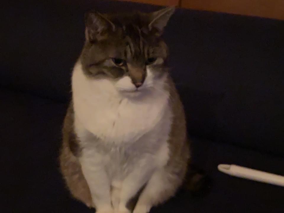もいるちゃん もいるちゃん