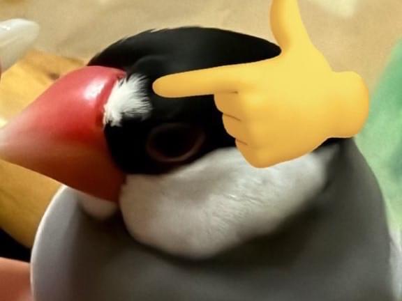たろうちゃん たろうちゃん
