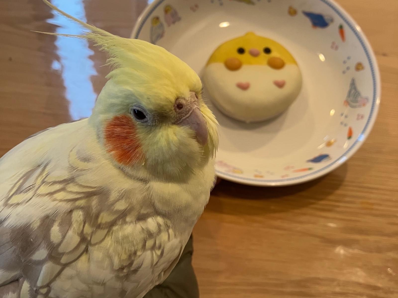 きーちゃん きーちゃん