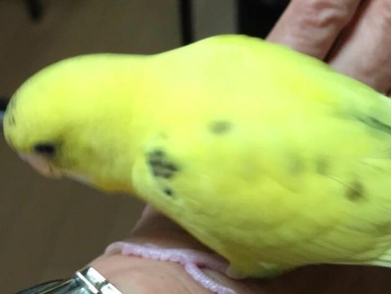 まあちゃん まあちゃん