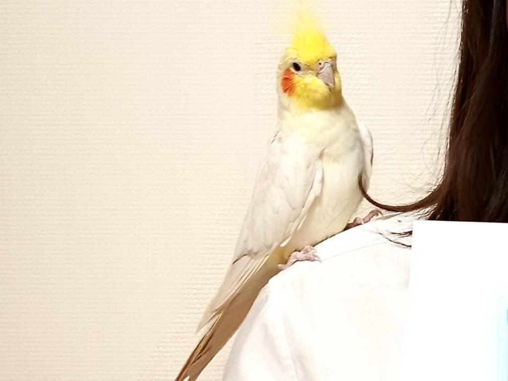 もっちゃん もっちゃん
