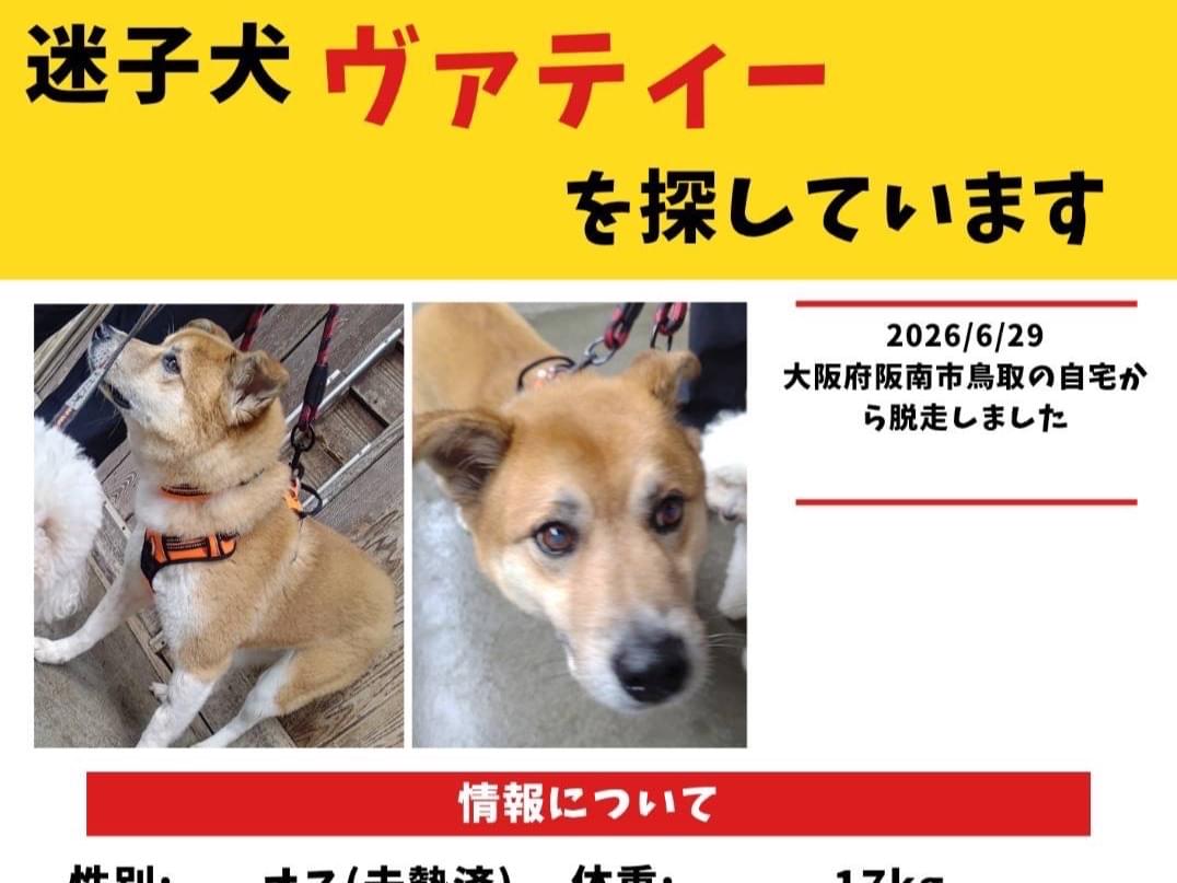 ヴァティーちゃん