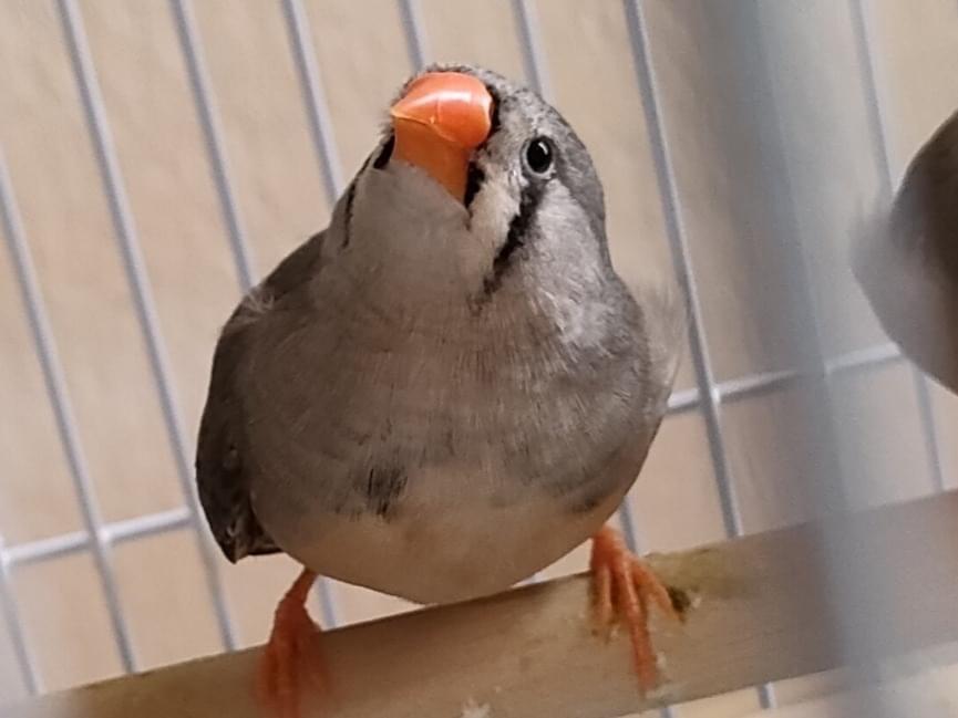 まるちゃん まるちゃん