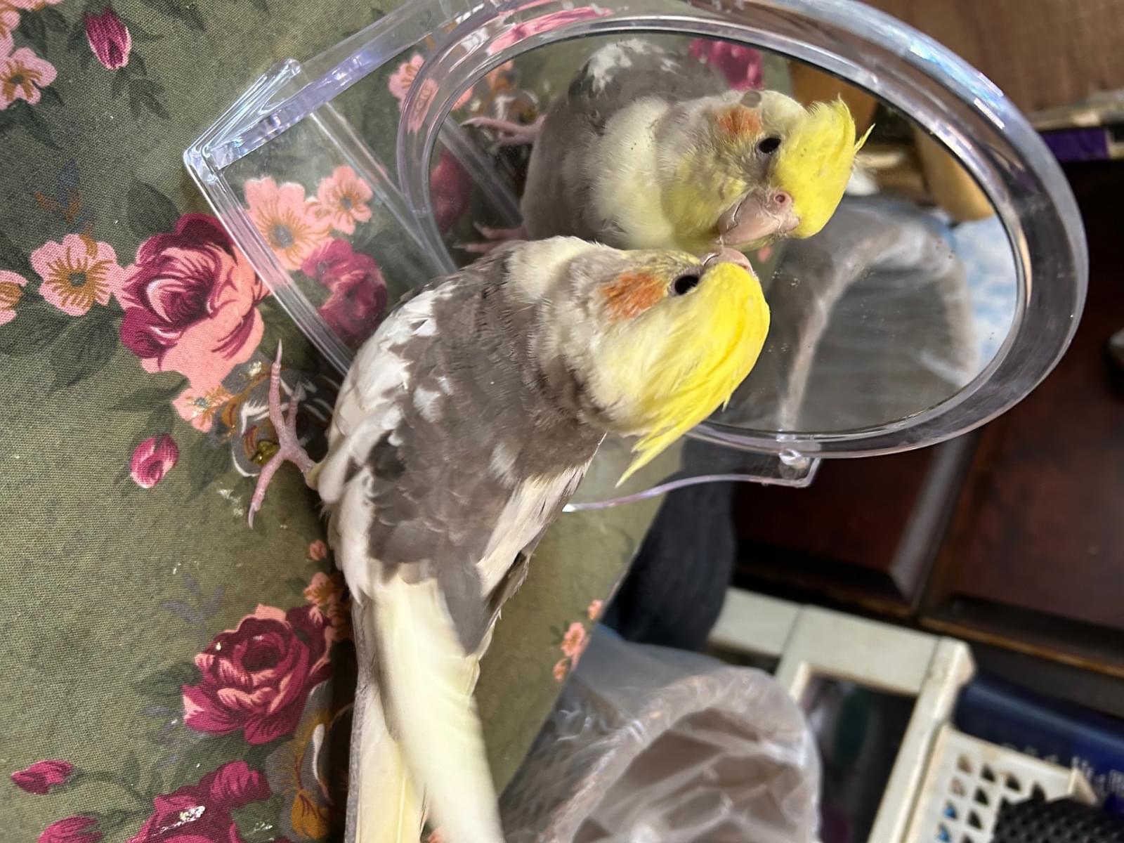 サリィちゃん サリィちゃん