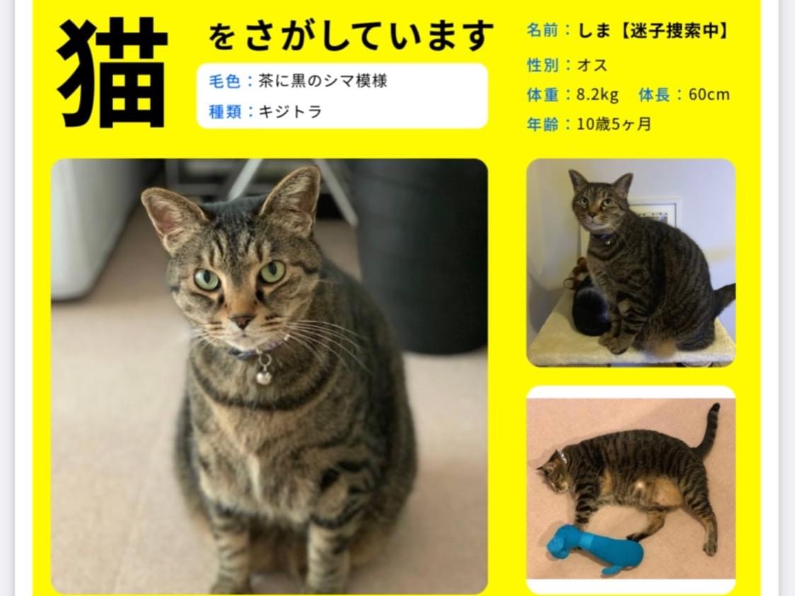 しまちゃん しまちゃん