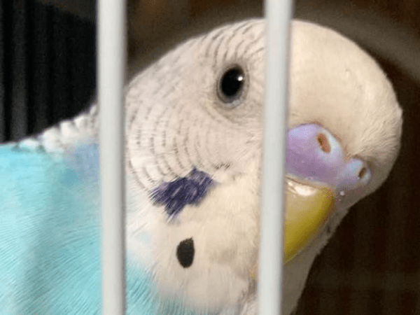 サンちゃん サンちゃん