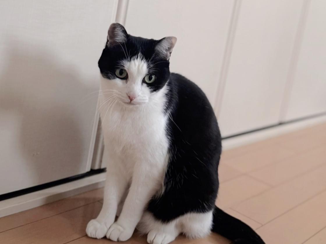 うるちゃん うるちゃん