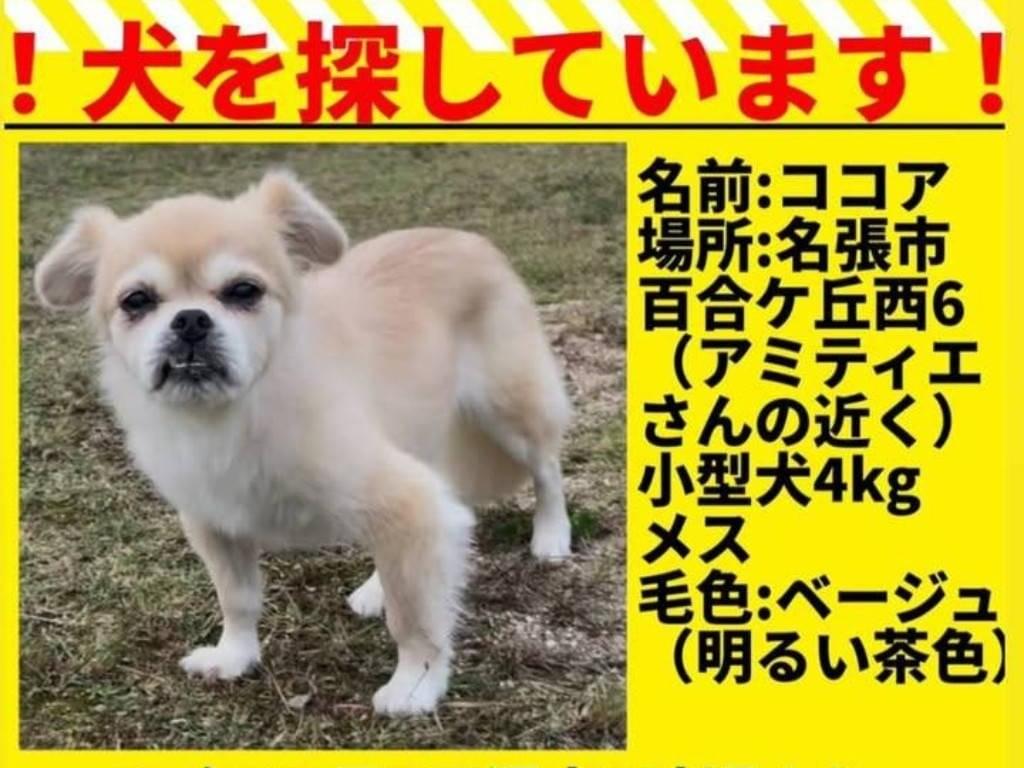 小竹ココアちゃん 小竹ココアちゃん