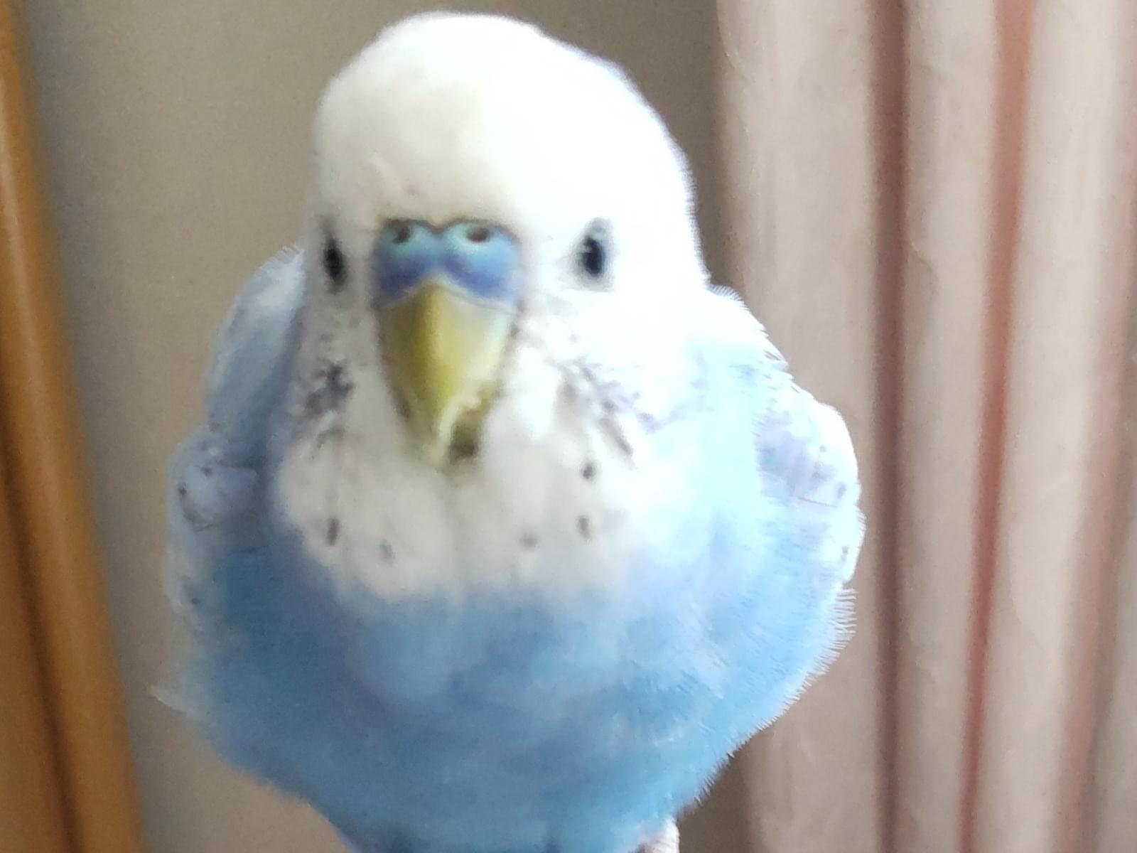 めいちゃん めいちゃん