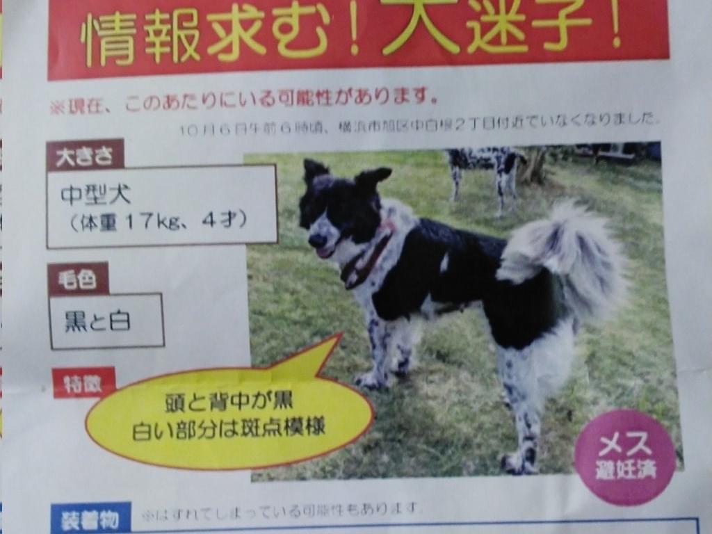 ソイちゃん ソイちゃん