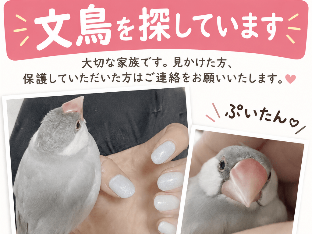 ぷいたんちゃん ぷいたんちゃん