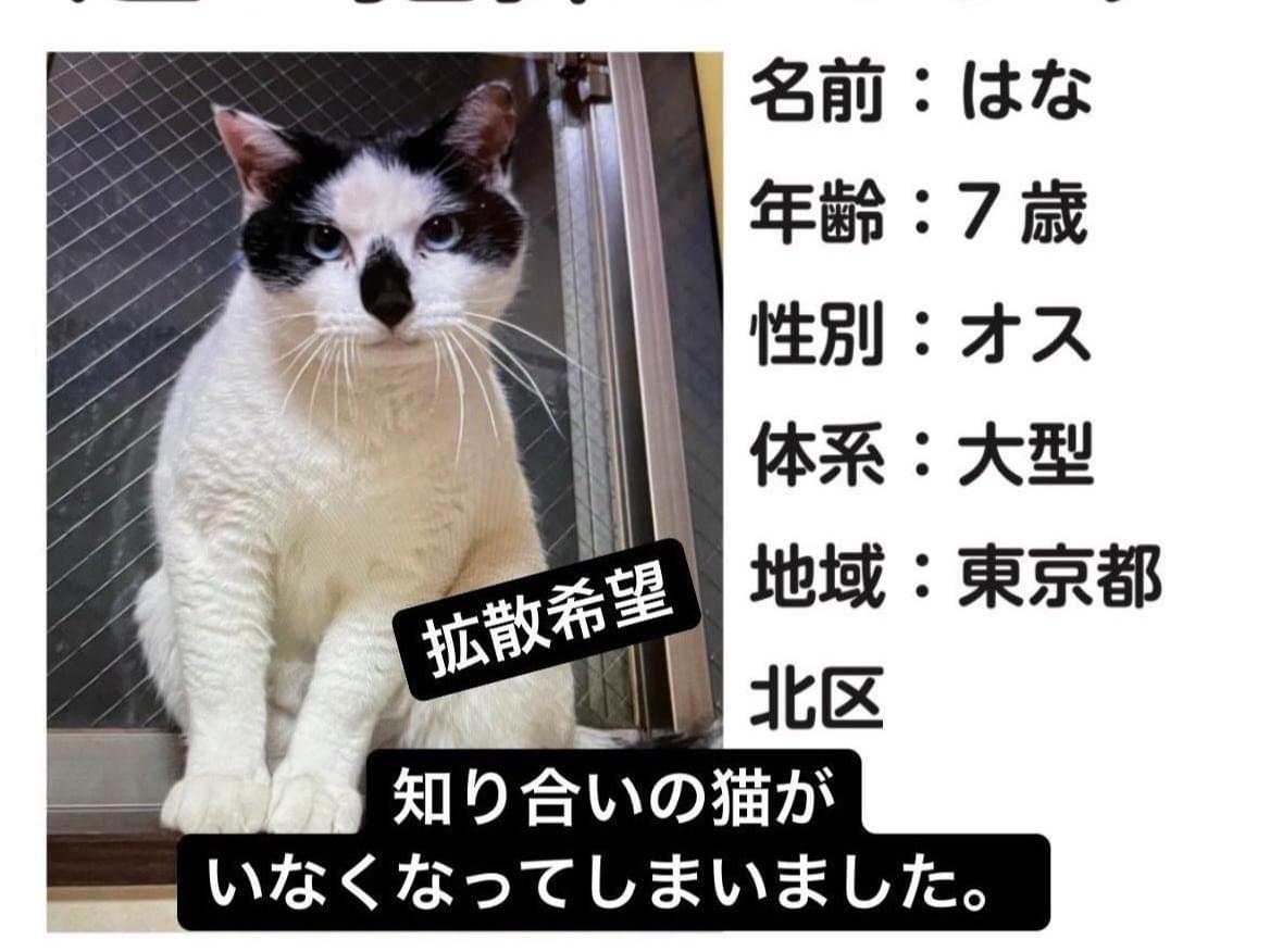 はなちゃん はなちゃん