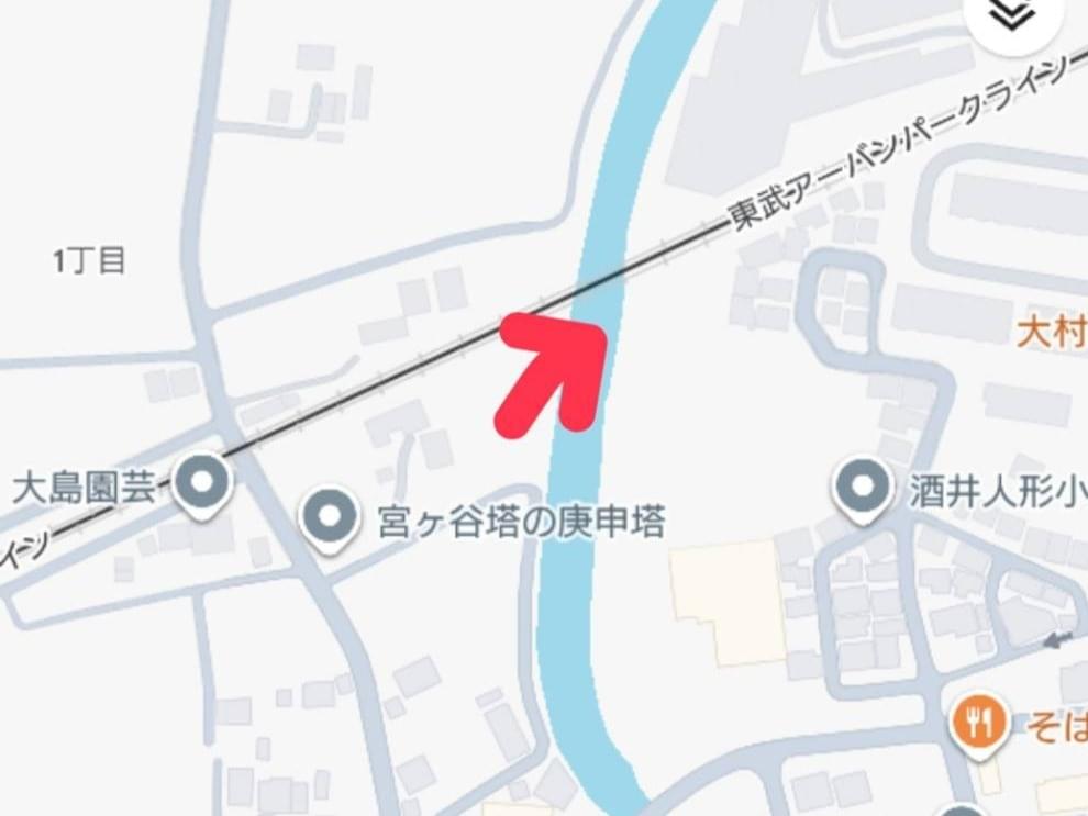 目撃された鳥 目撃された鳥