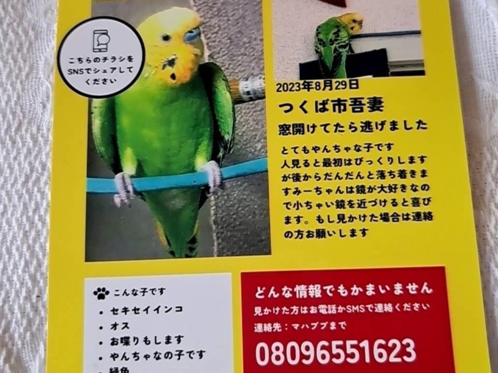 みーちゃん みーちゃん