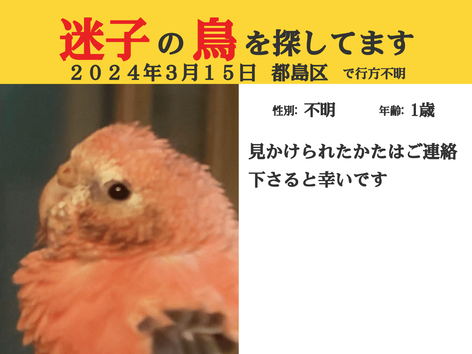 りんごちゃん りんごちゃん