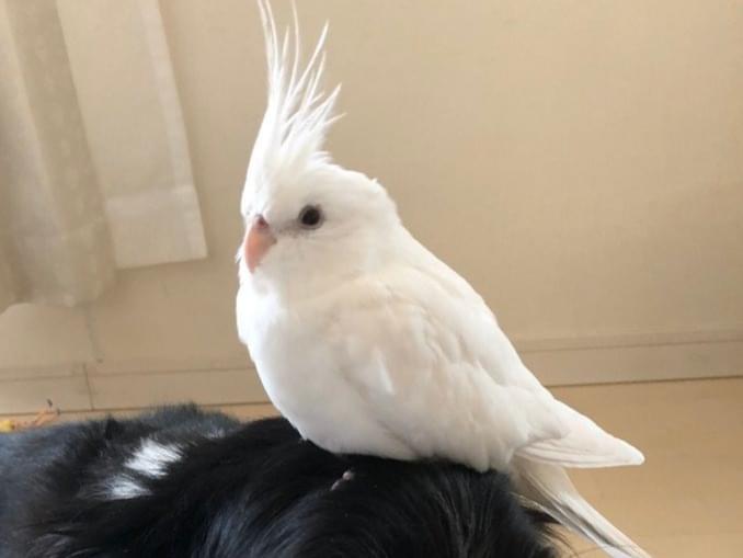 うめちゃん うめちゃん