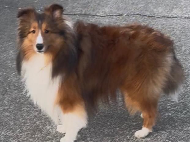 アランちゃん アランちゃん