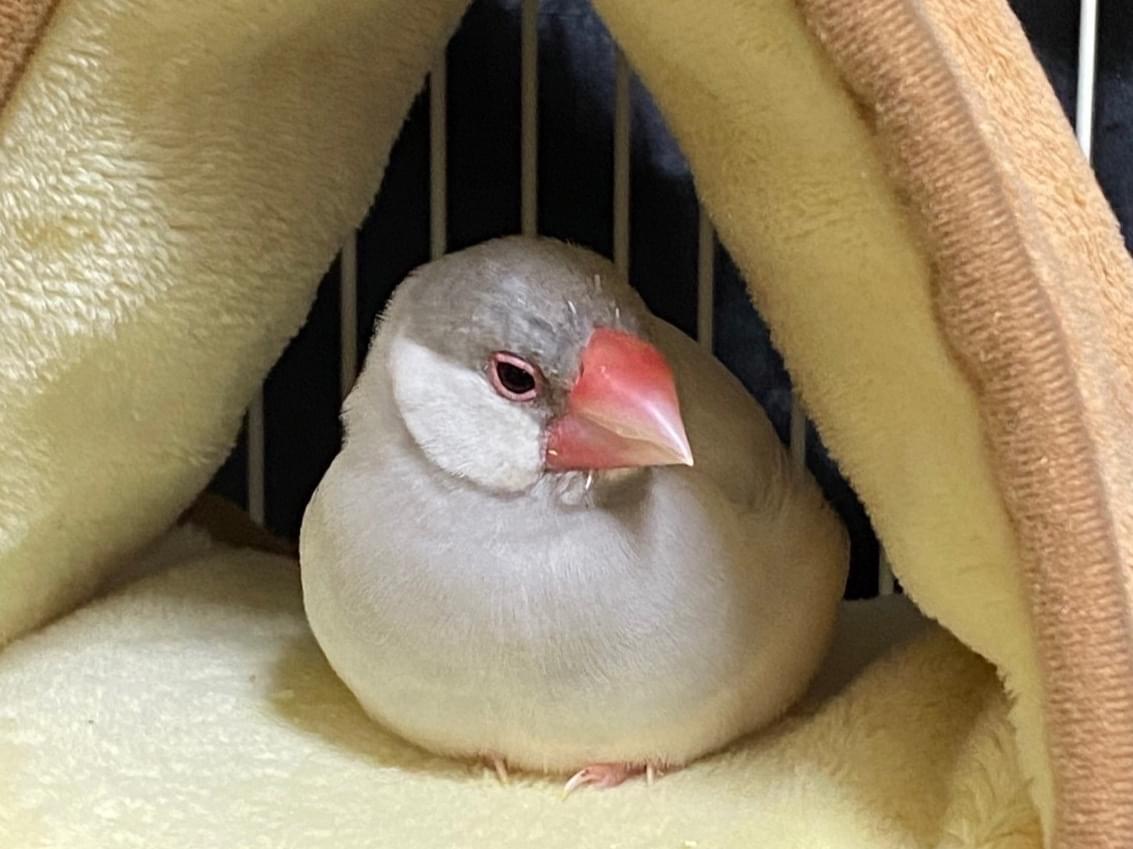 るるちゃん るるちゃん