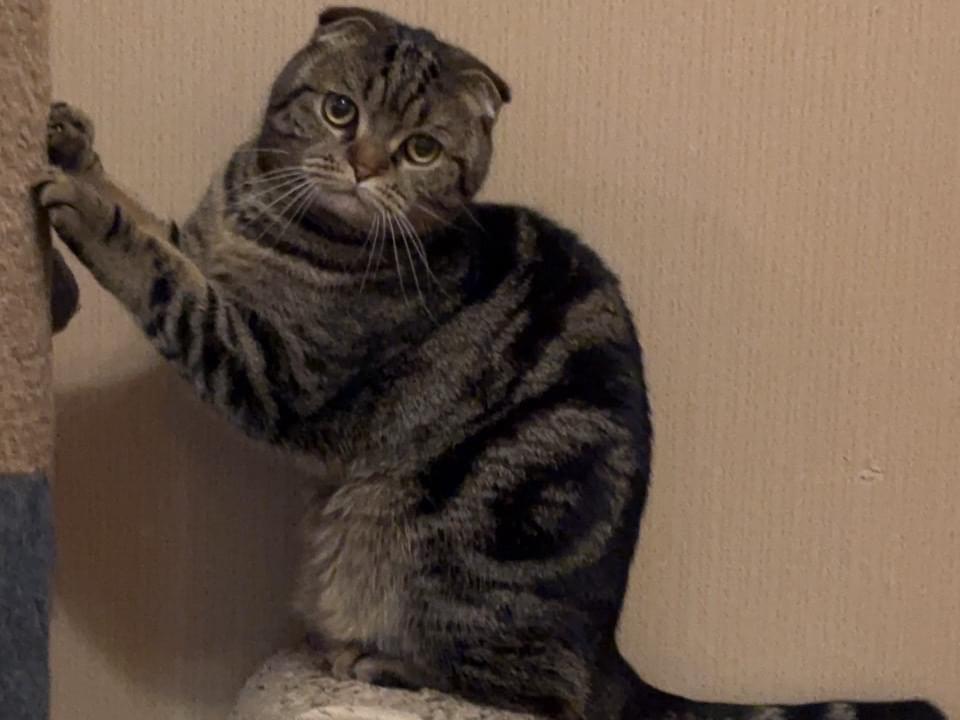 とあちゃん とあちゃん