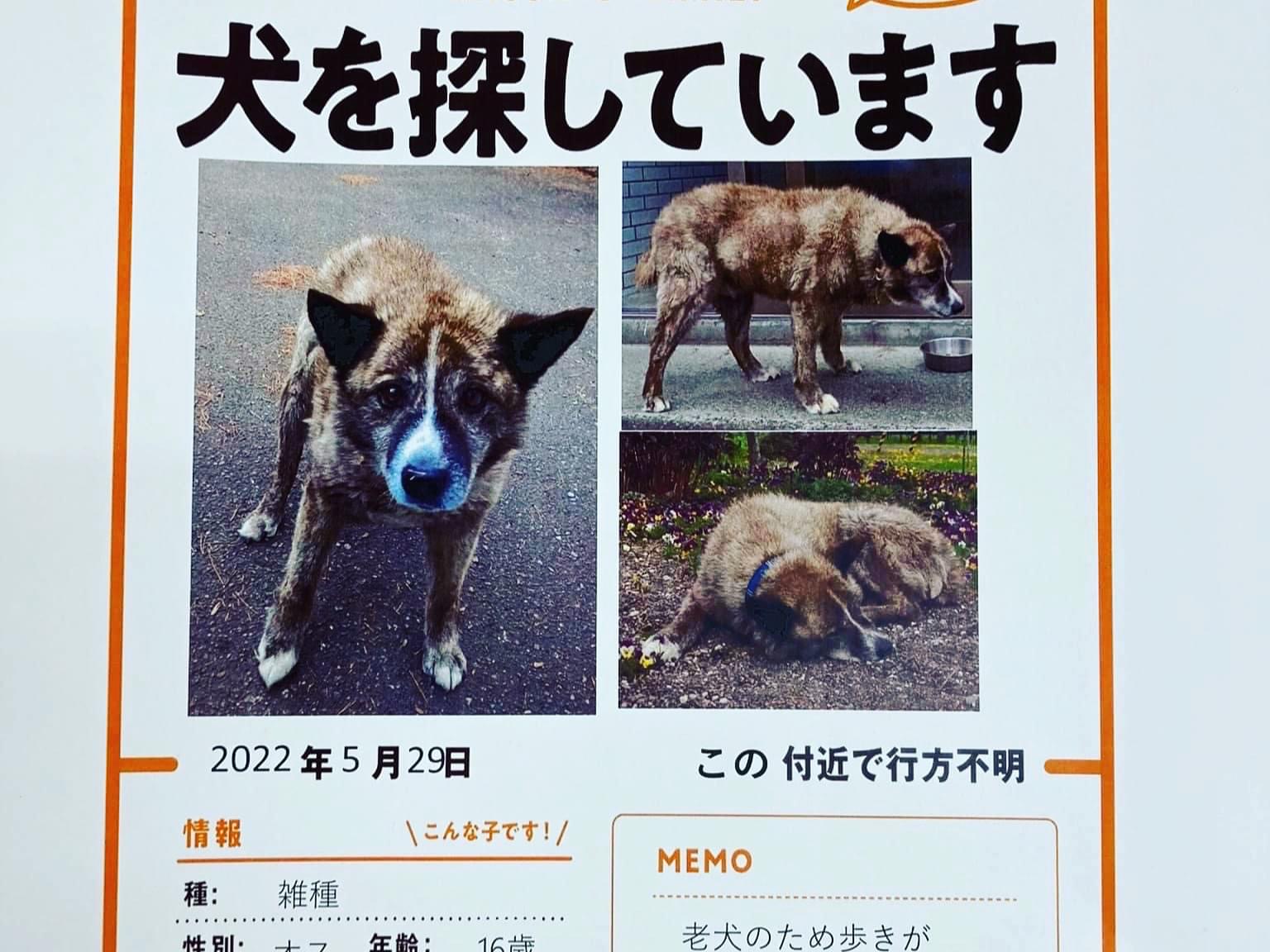 リッキーちゃん リッキーちゃん
