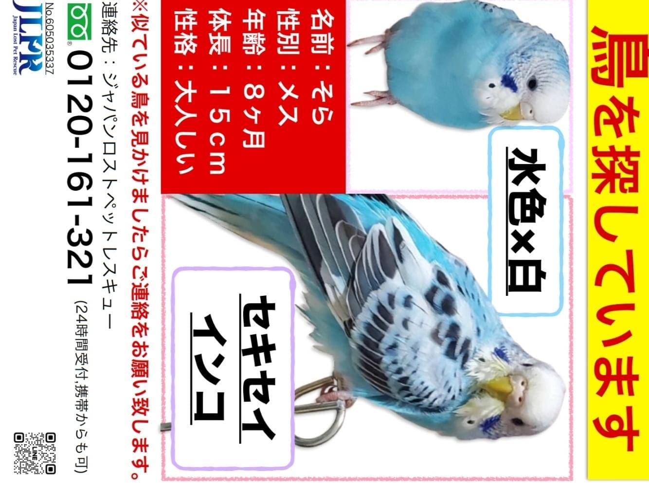 そらちゃん