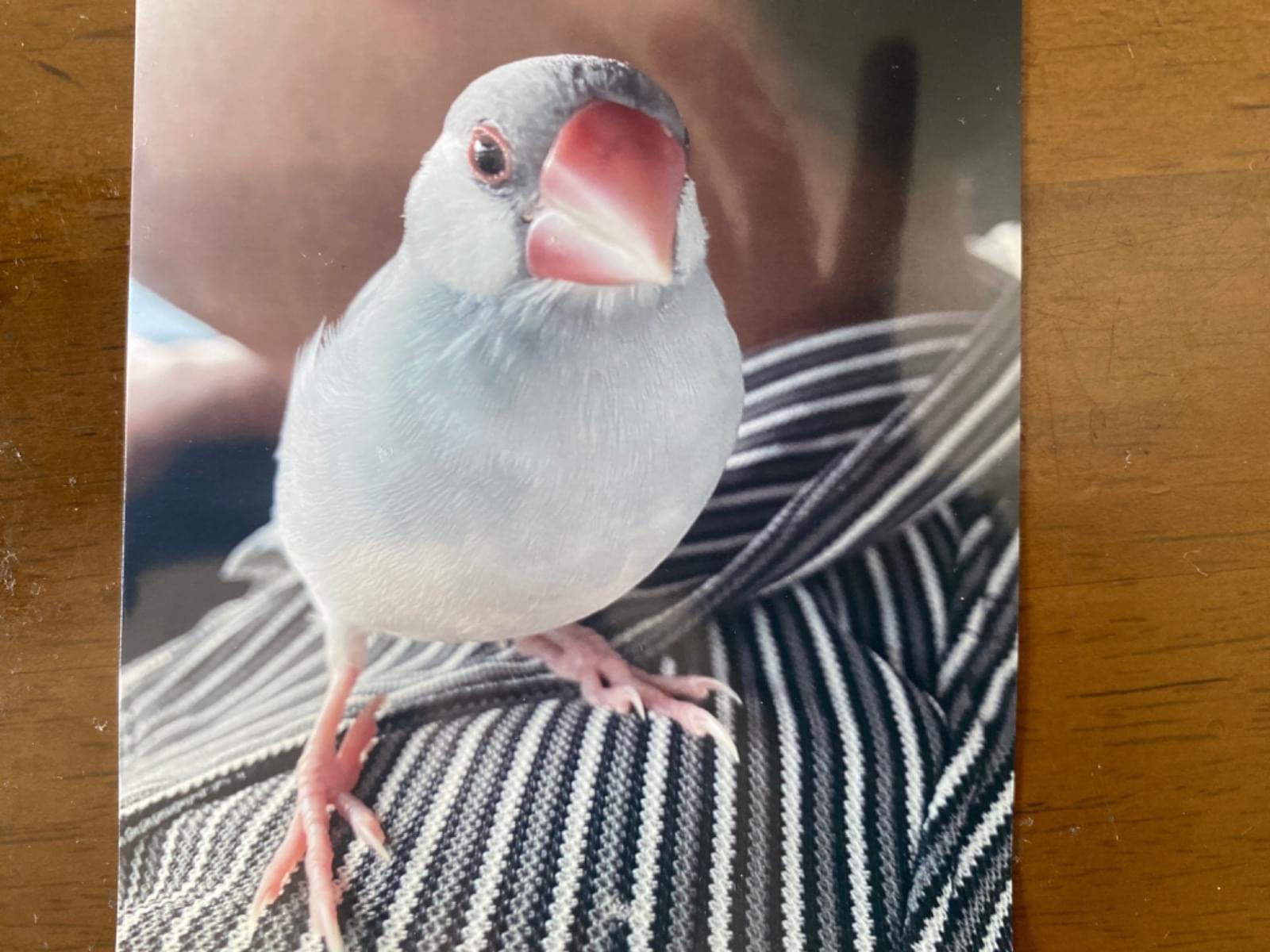 クウちゃん クウちゃん