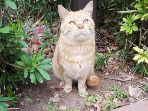 カイちゃん カイちゃん