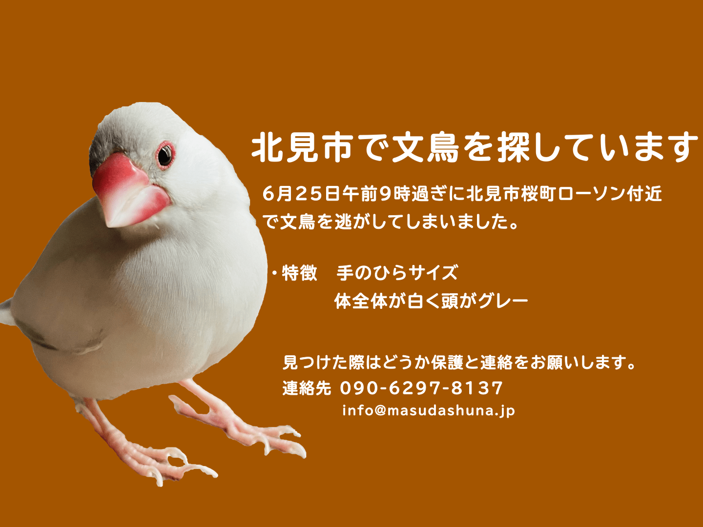 ゆきちゃん ゆきちゃん