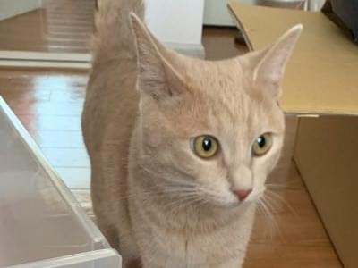 はれちゃん はれちゃん