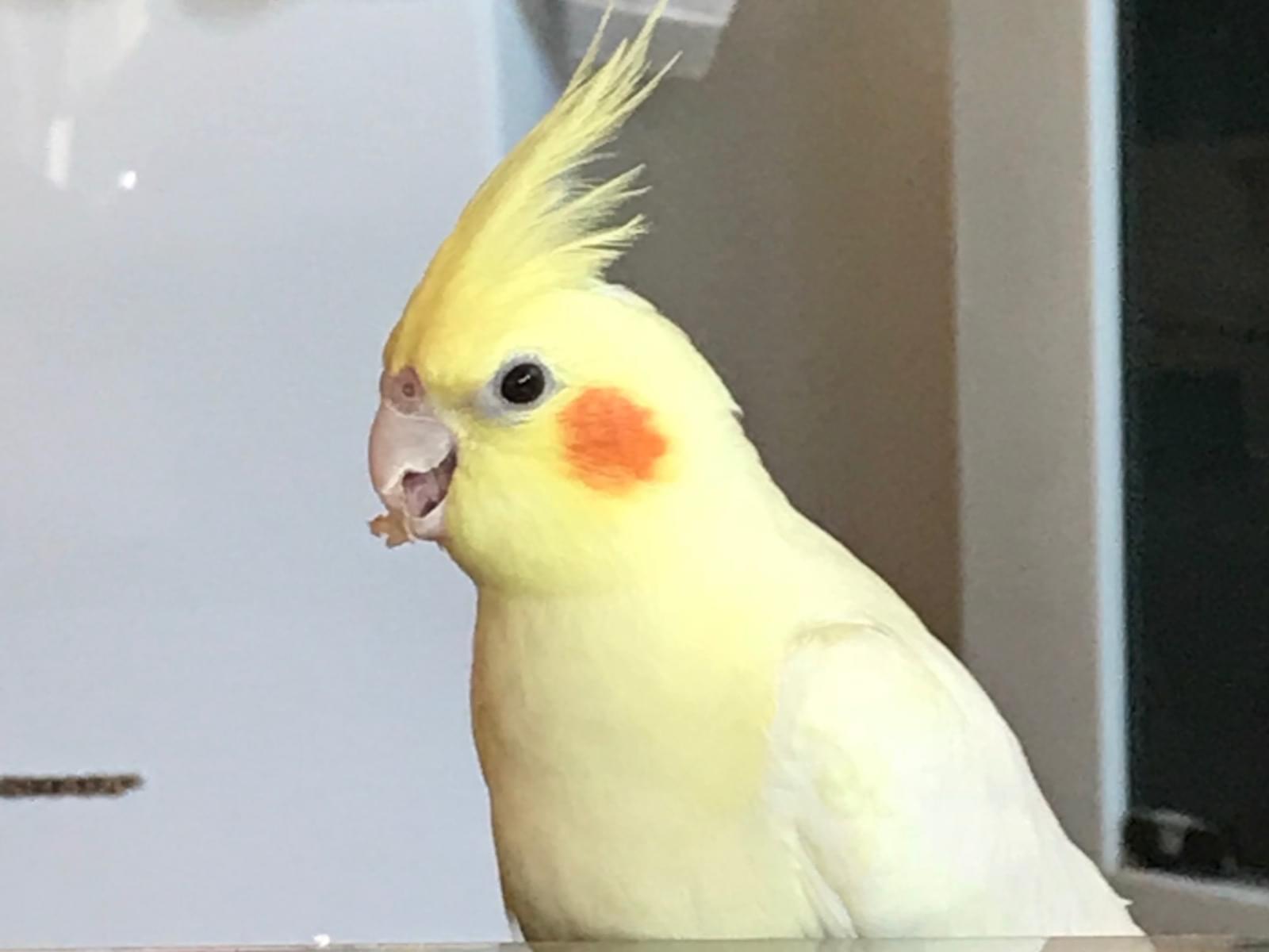 るーちゃん るーちゃん