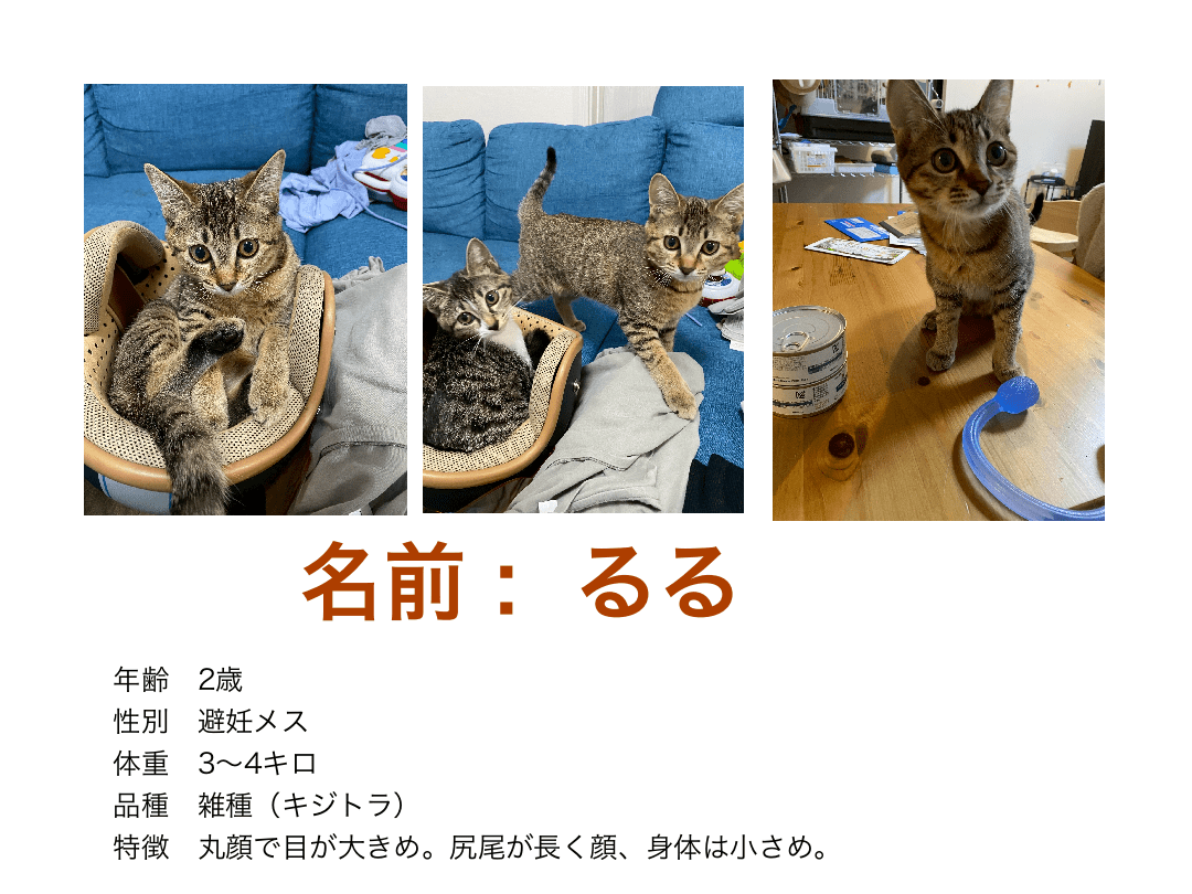 るるちゃん るるちゃん