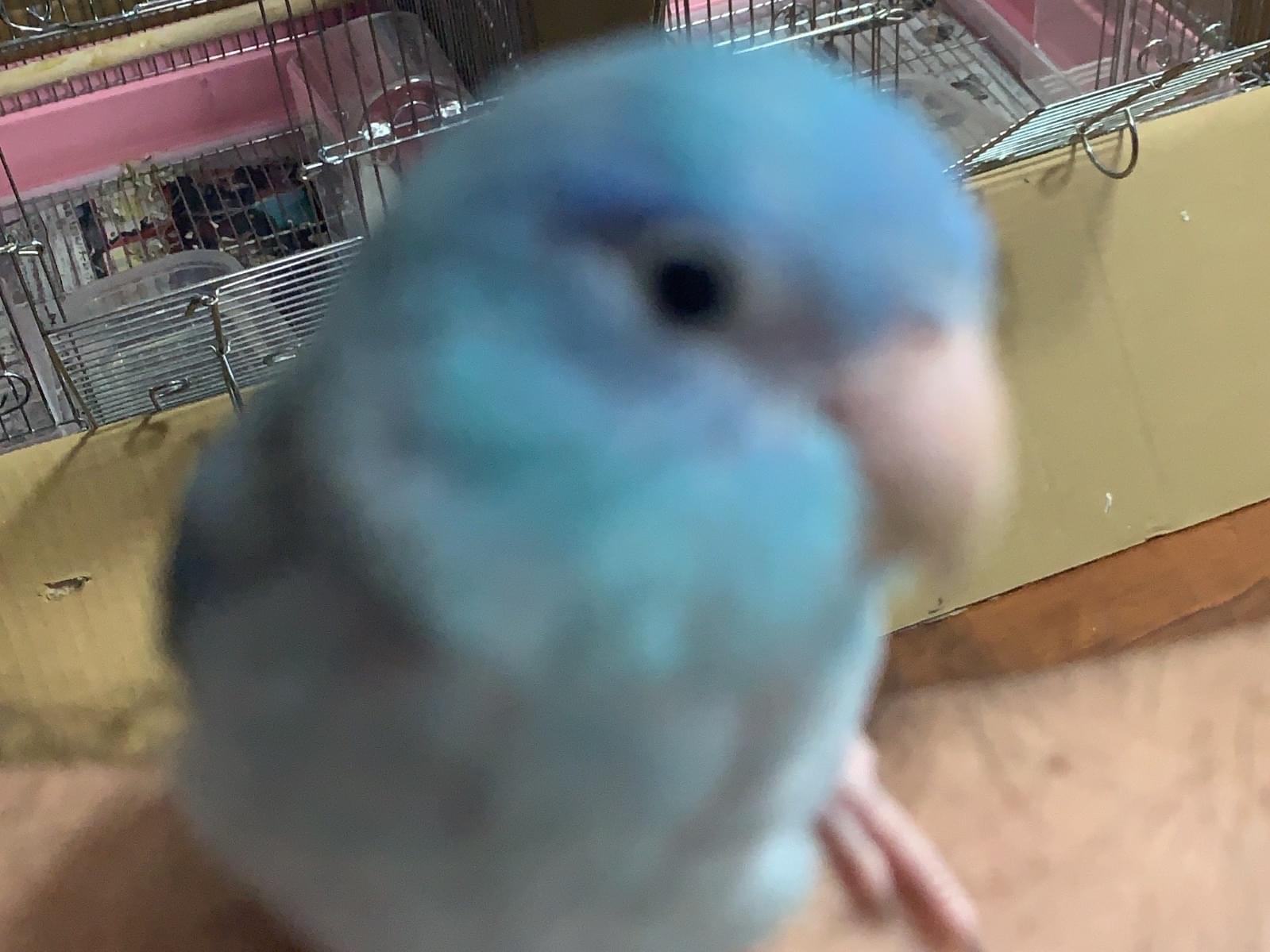 ぴちゃん ぴちゃん