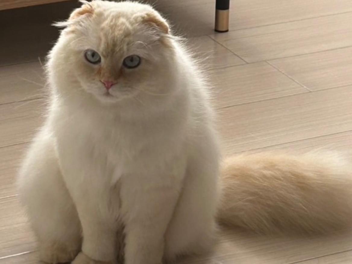 ルージュちゃん