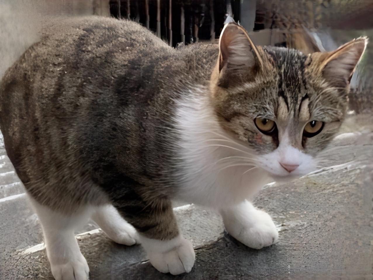 ラビちゃん ラビちゃん