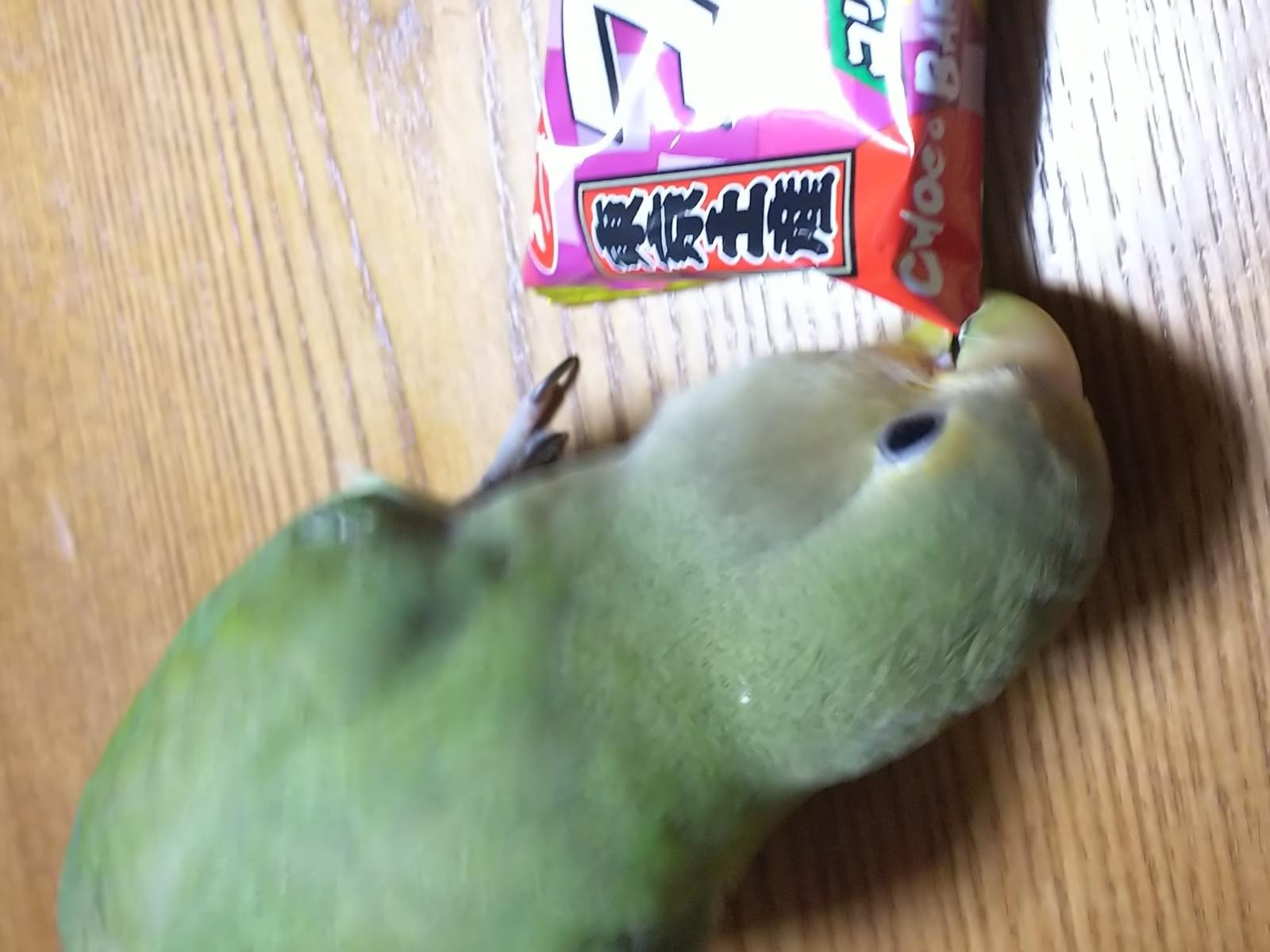 ももちゃん ももちゃん
