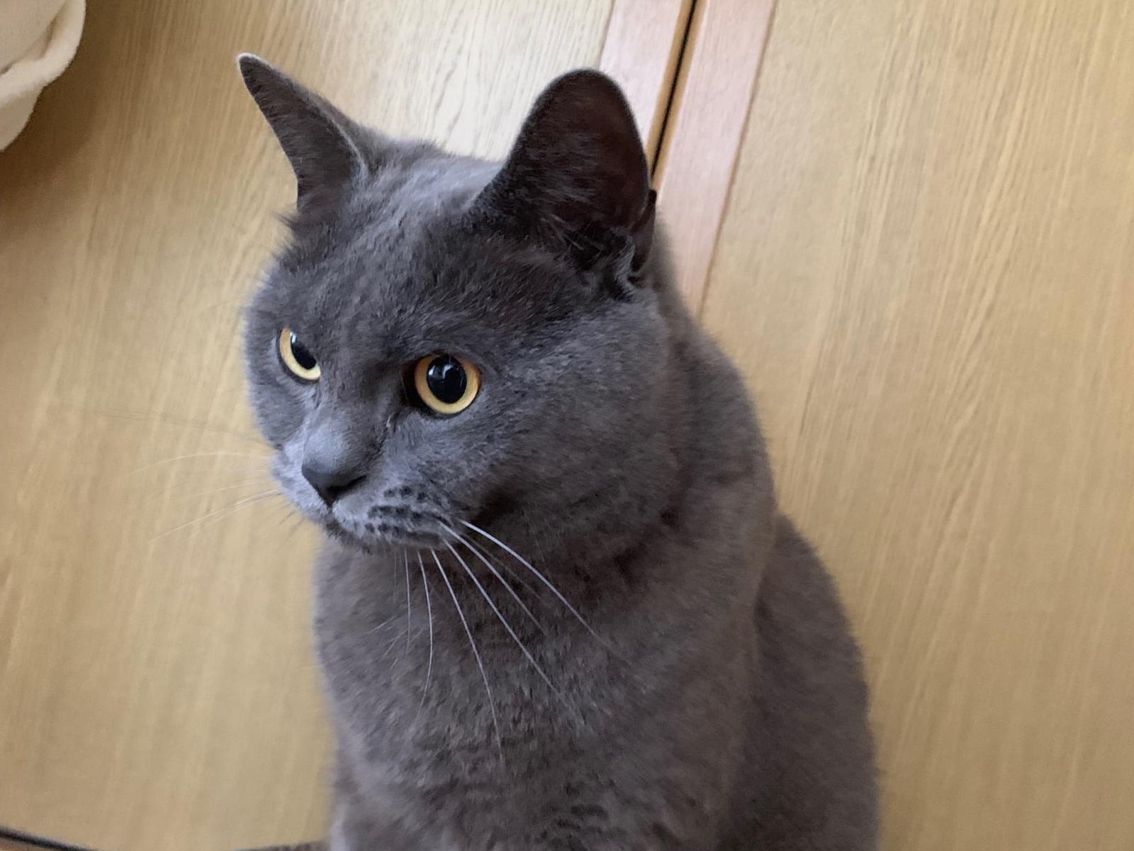 るいちゃん るいちゃん