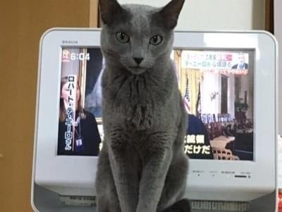 さくらちゃん さくらちゃん