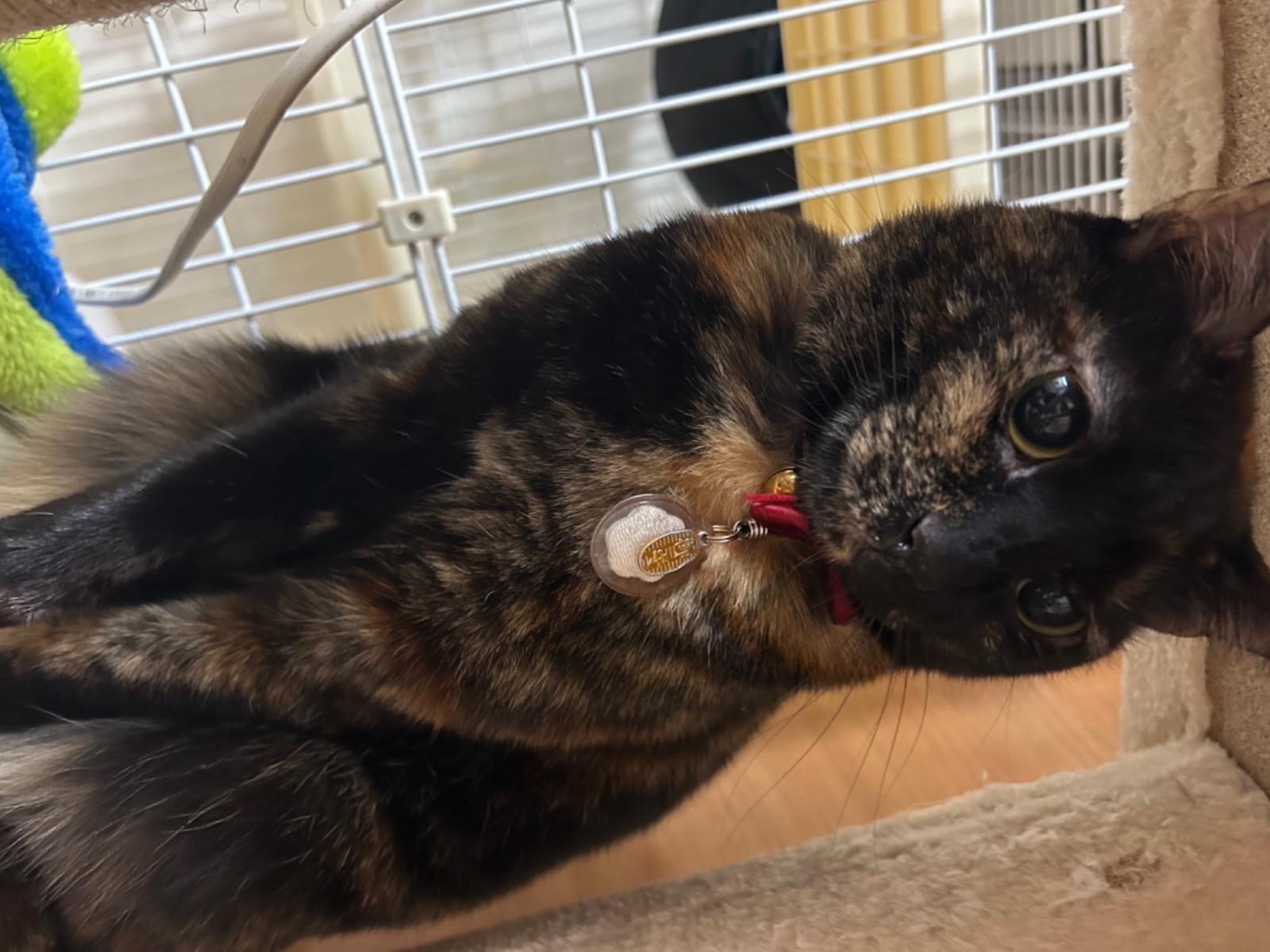 めいちゃん めいちゃん
